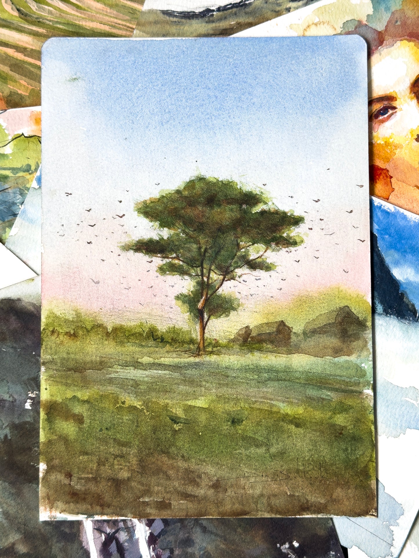 Lone Tree, Selingsing