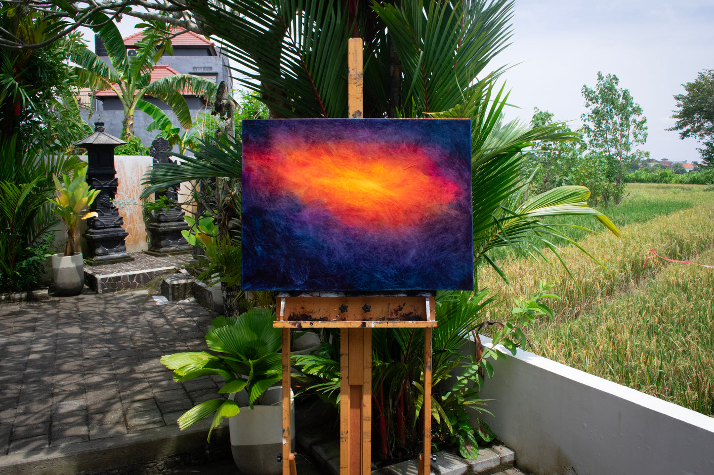 Solar Bloom