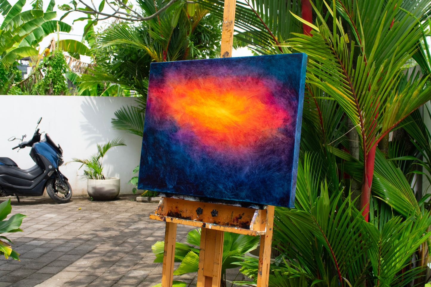Solar Bloom