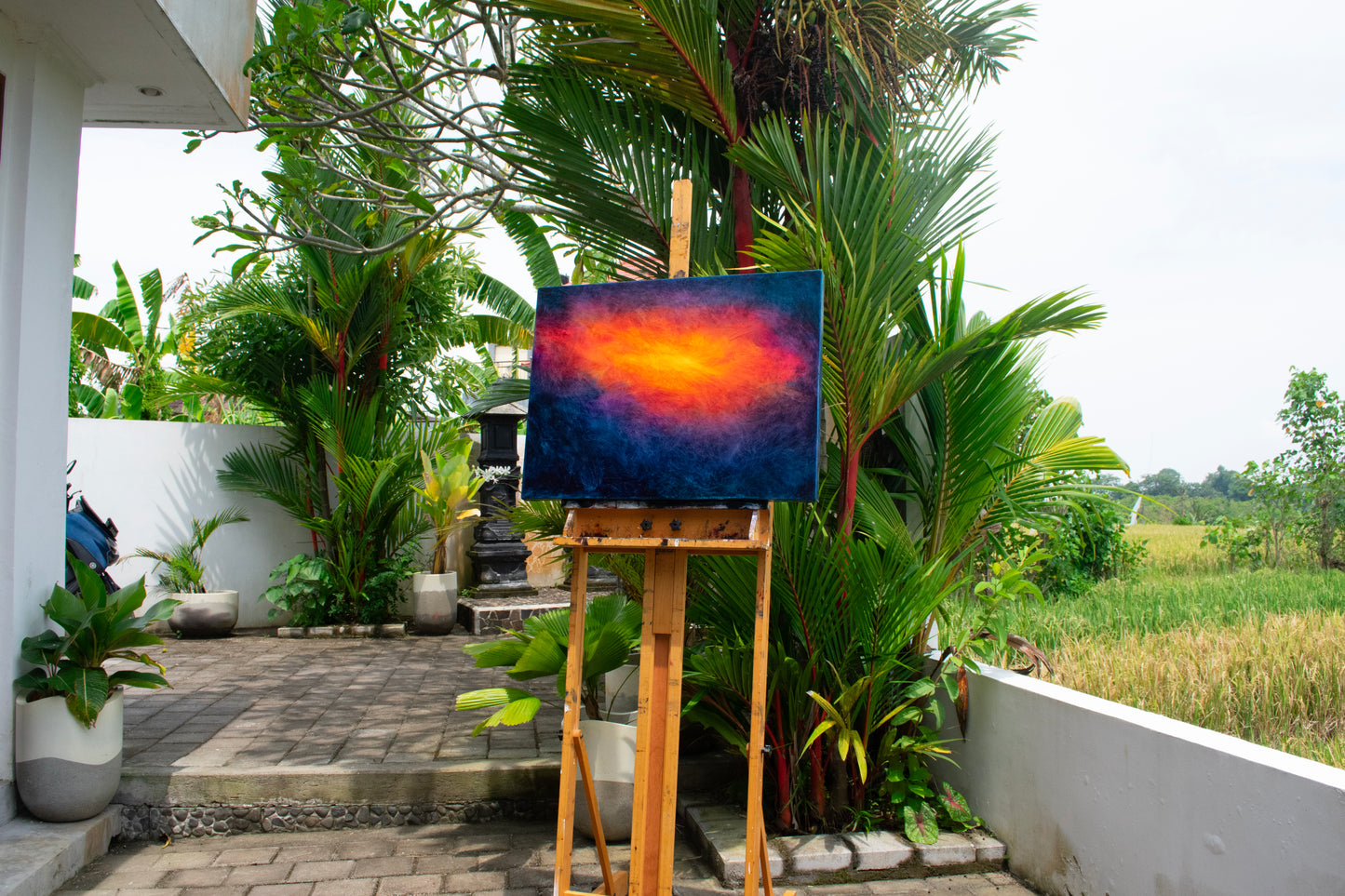 Solar Bloom