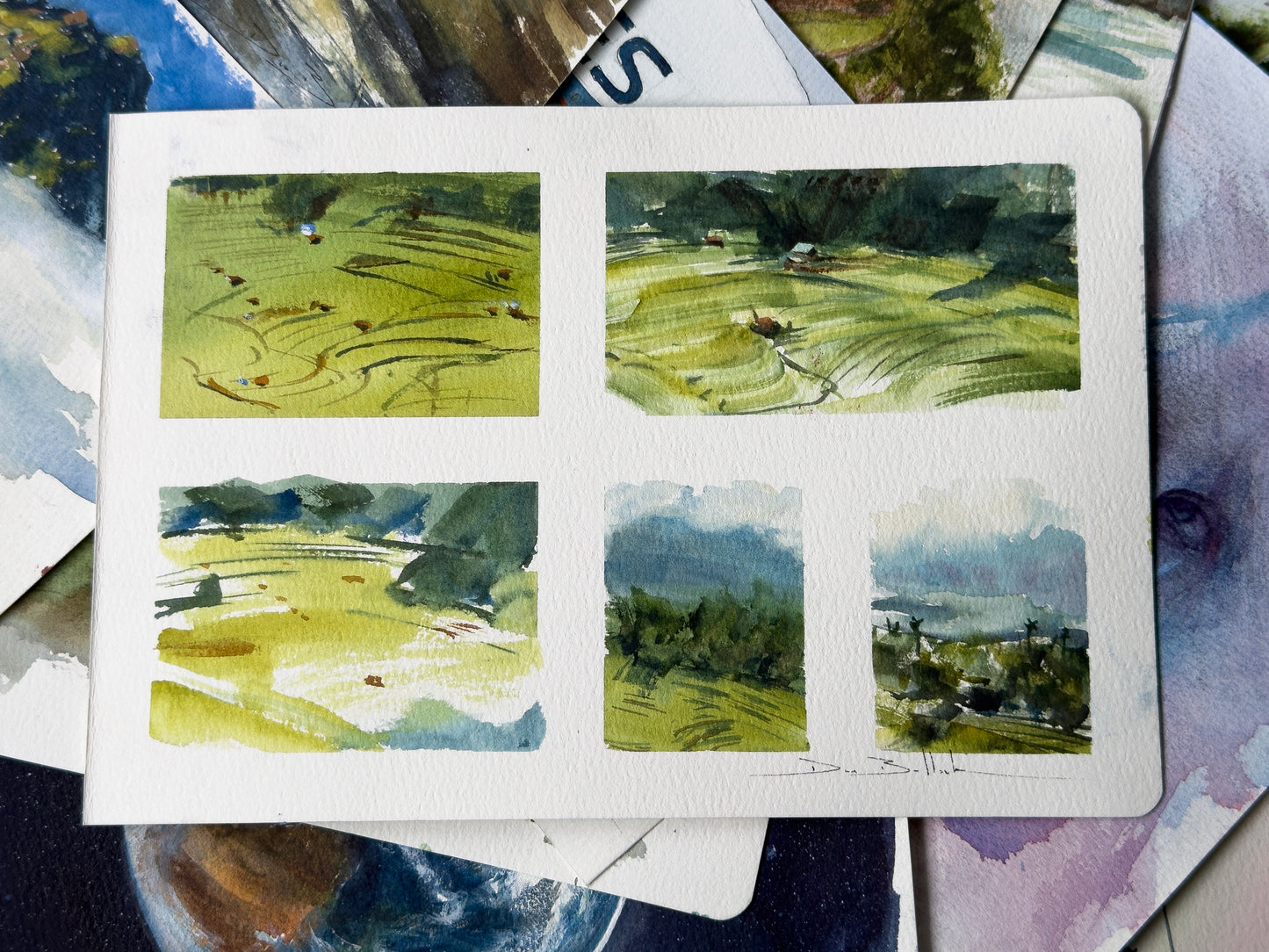 Rendang Rice Fields
