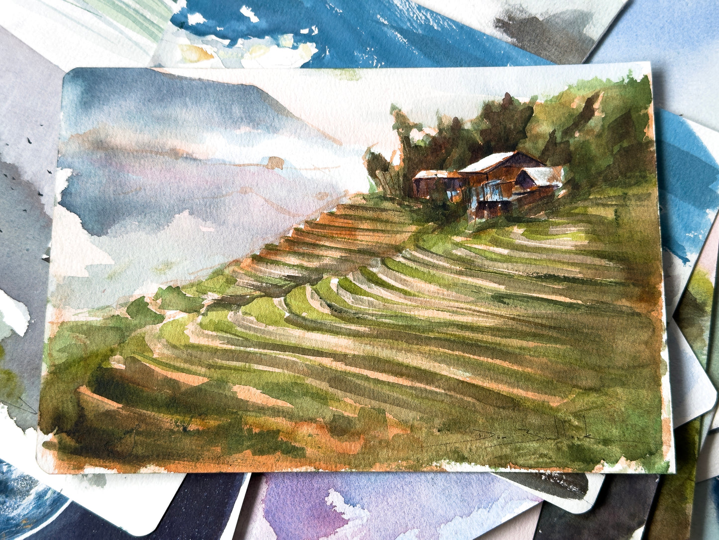 Ta Van Terraces