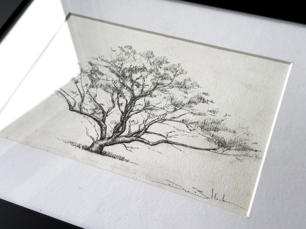Tree of a Thousand Flying Foxes