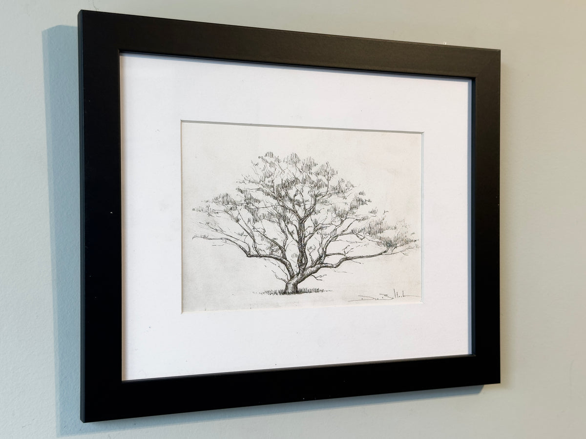 Tree of a Thousand Flying Foxes