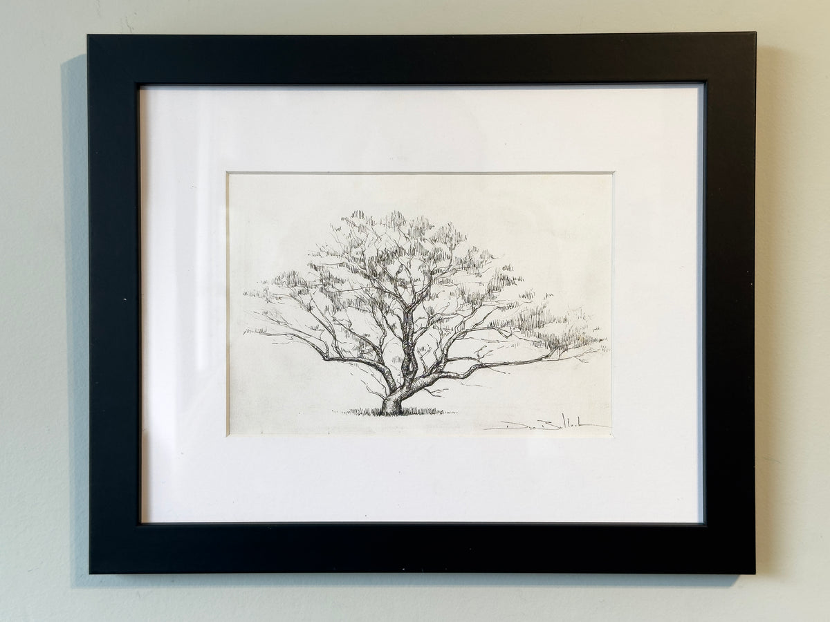 Tree of a Thousand Flying Foxes