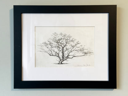 Tree of a Thousand Flying Foxes