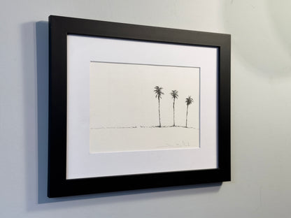 Palms