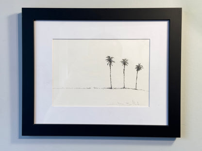 Palms