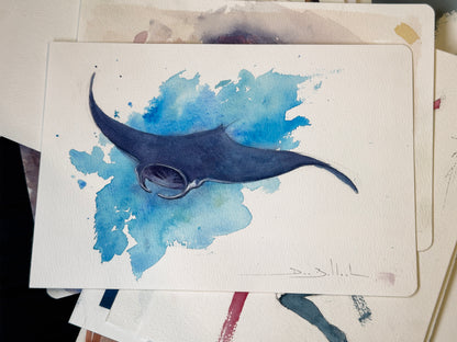Manta
