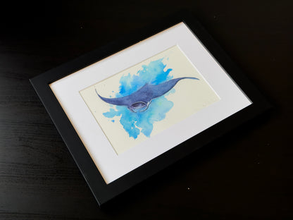 Manta