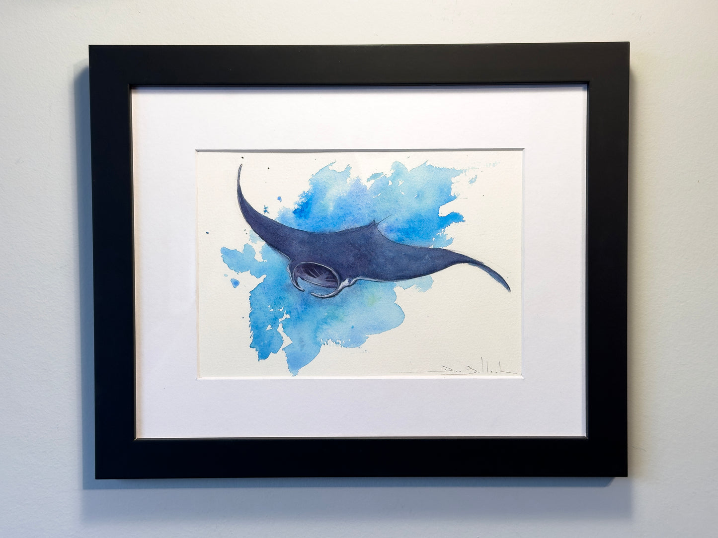 Manta