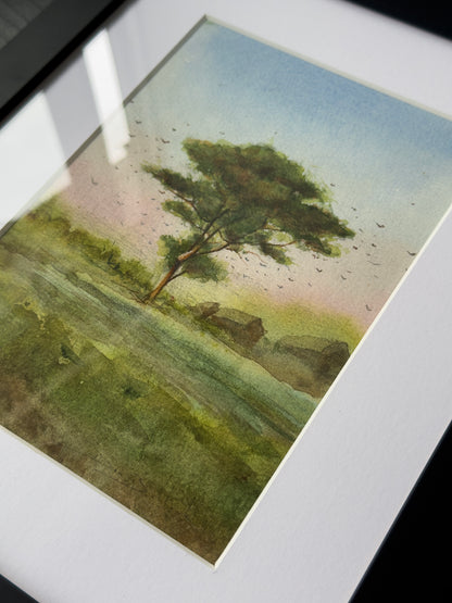 Lone Tree, Selingsing
