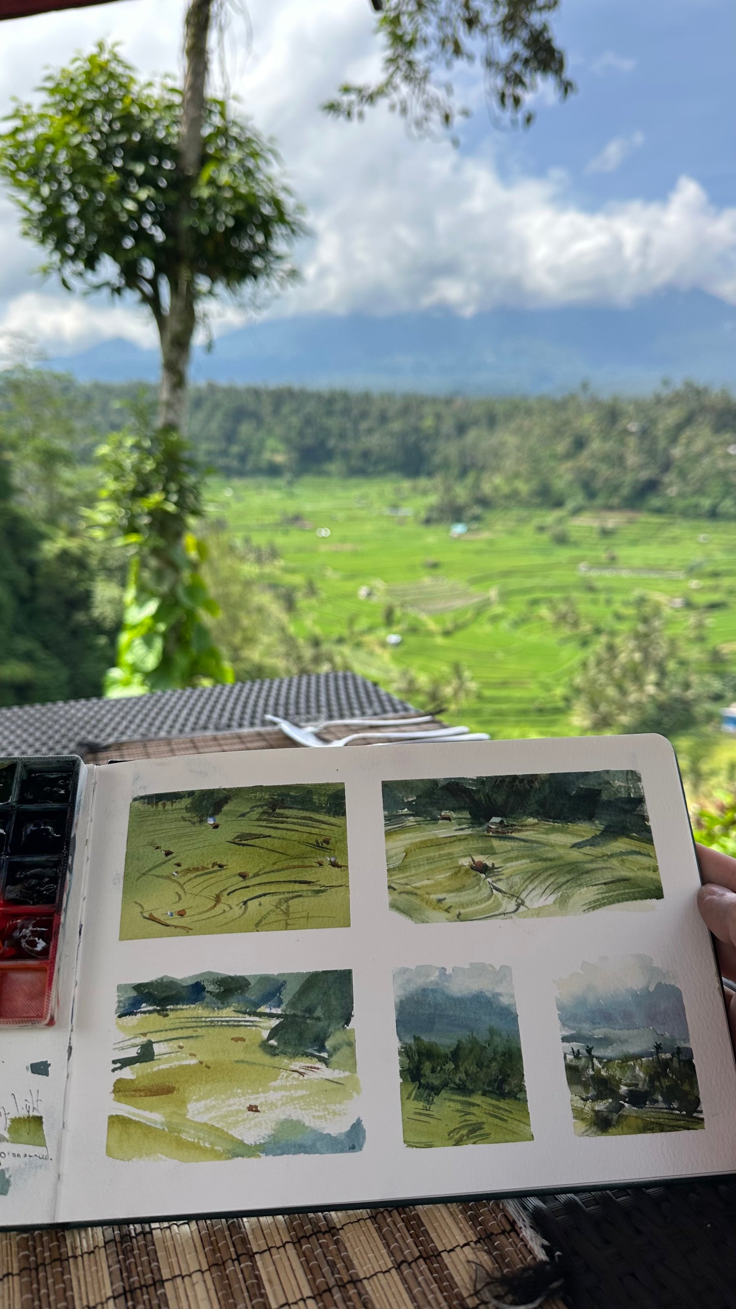 Rendang Rice Fields