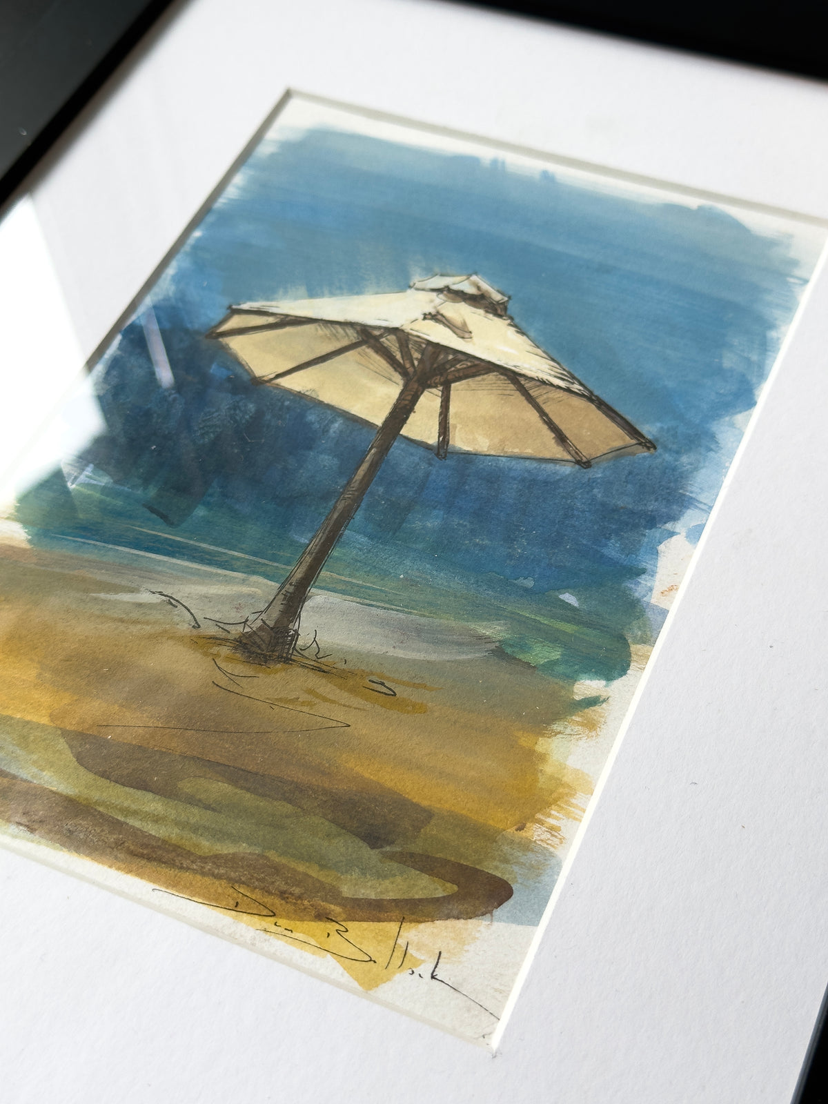 Sri Lankan Parasol