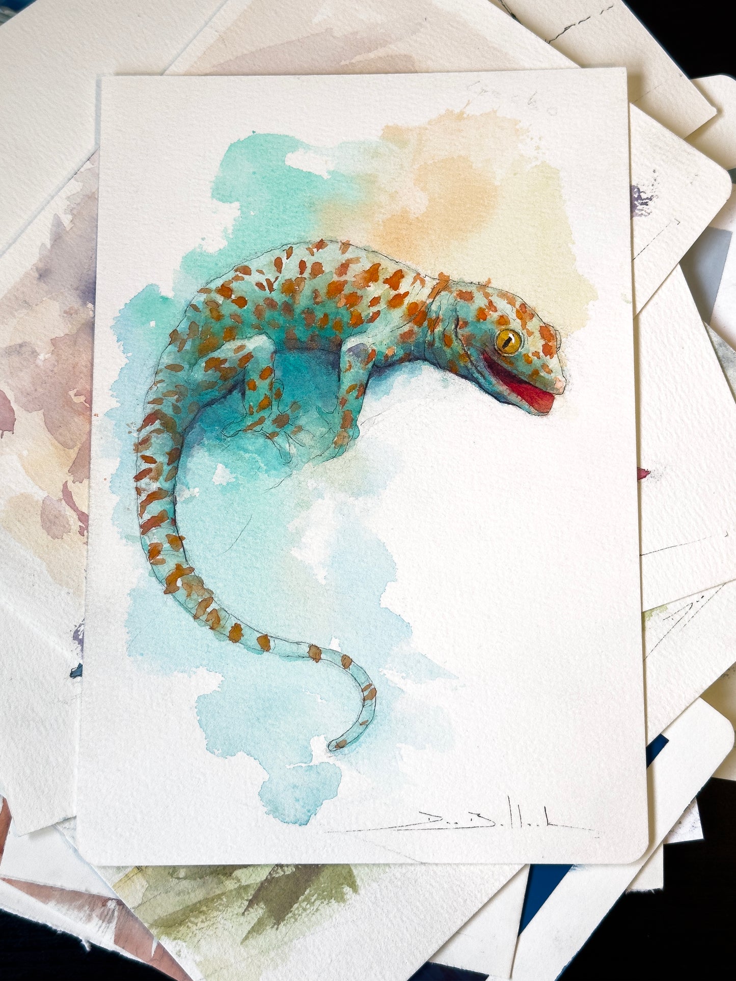 Gecko