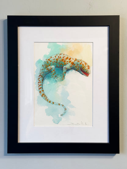 Gecko