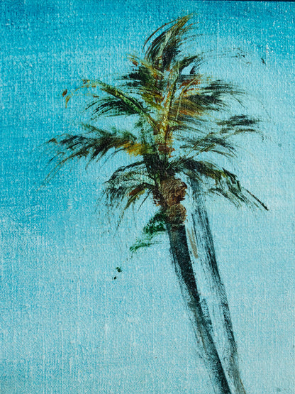 Samui Palm
