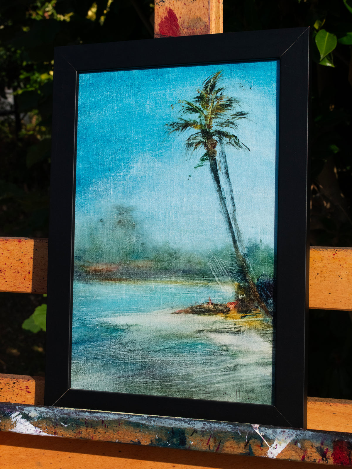 Samui Palm