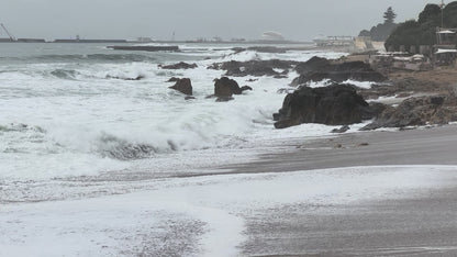 Portuguese Ocean Waves
