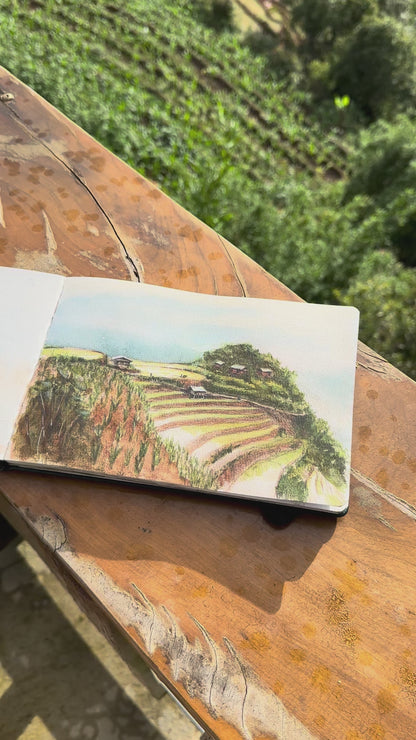Mu Cang Chai Terraces